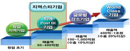 지역스타기업육성사업 개념도