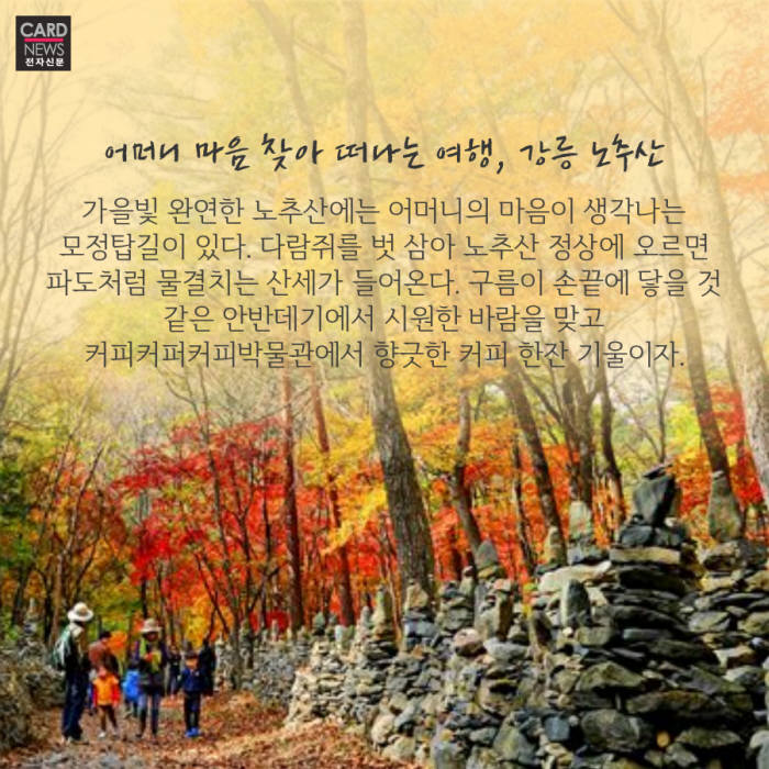[카드뉴스]가는 가을 아쉬워~ 강秋 11월 여행지