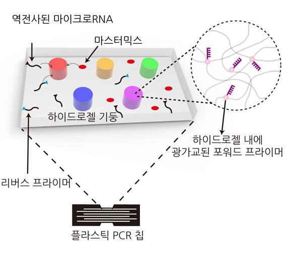 플라스틱 칩 내에 고정된 하이드로젤 기둥을 이용한 동시 다중 qPCR 개념도