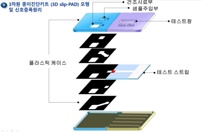 진단 키트의 모형 및 신호증폭 원리