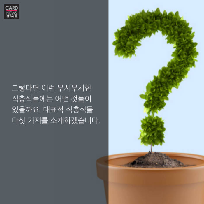 [카드뉴스] 날 '풀'로 보지마, 벌레잡는 식물