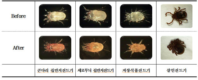 레몬밤 바이오 소재의 집먼지진드기, 저장식품진드기 및 살인진드기에 대한 바이오마커 생리활성.