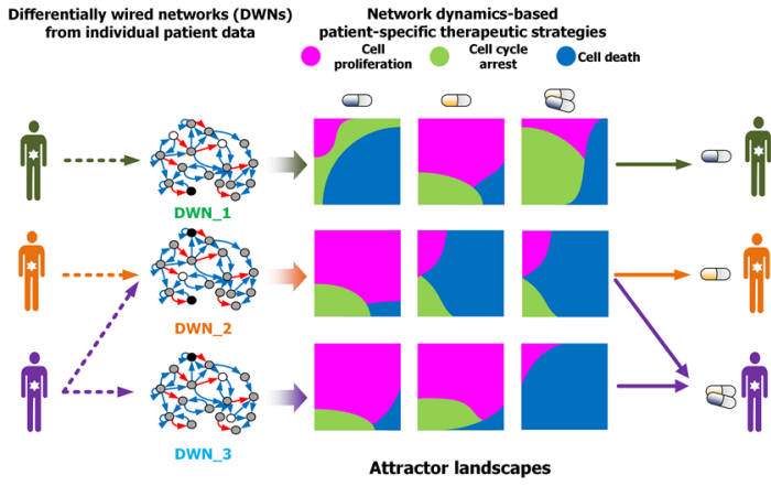 암세포 분자네트워크의 동역학 분석을 통한 암세포 유형별 약물타겟 발굴 및 암환자별 맞춤치료 전략 수립 과정