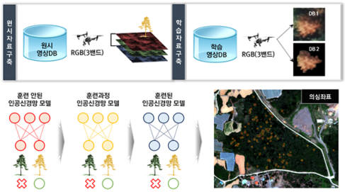 소나무재선충병 소나무류 고사목 탐지 알고리즘