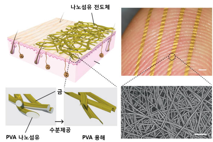 DGIST 신물질과학전공 이성원 교수 연구팀이 개발한 나노섬유 기판을 이용한 전자피부 모식도와 손가락에 전자피부를 부착한 사진.