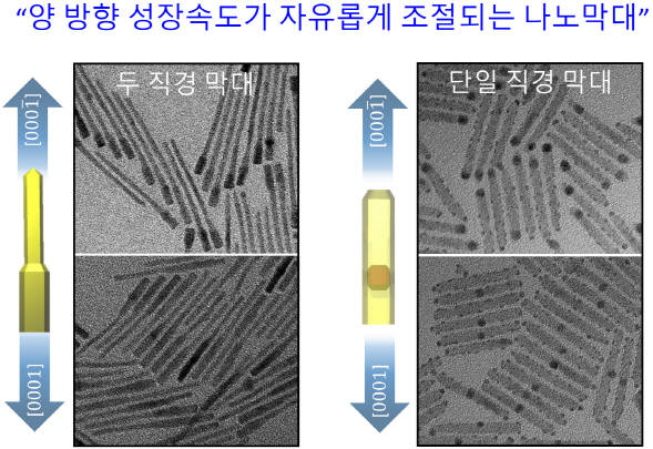 양자 나노막대의 양 방향 성장속도를 자유롭게 조절하는 모습