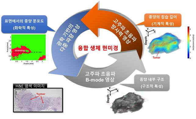 DGIST 정보통신융합전공 황재윤 교수 연구팀이 개발한 융합생체현미경 시스템 개념도.