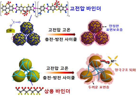 고전압 바인더를 적용한 양극의 계면 및 구조 안정화 효과