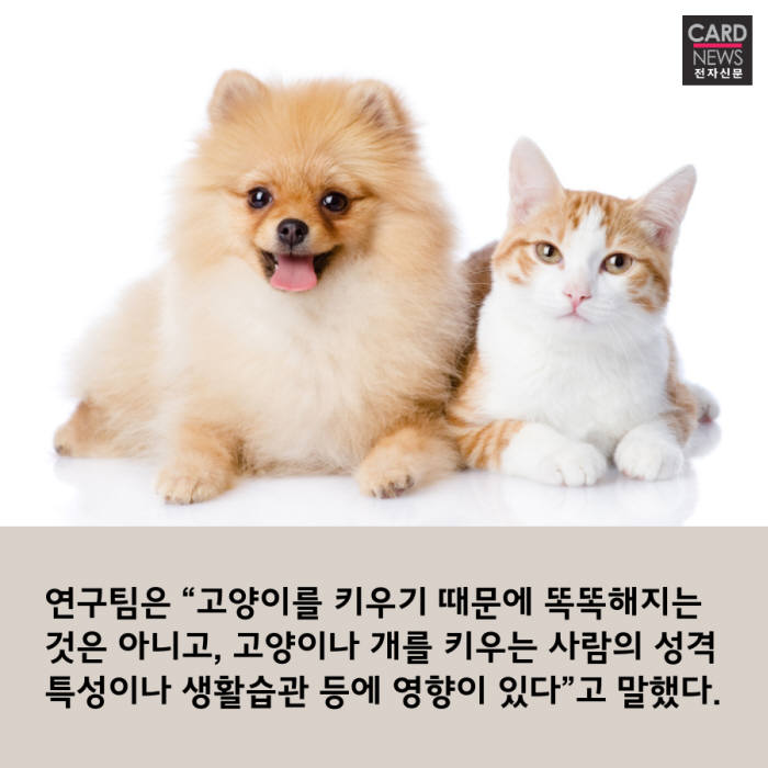 [카드뉴스]개와 고양이 누가 더 똑똑할까