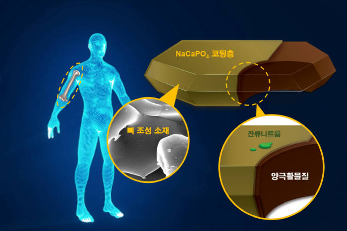 뼈 소재를 나트륨이차전지용 양극소재에 적용한 개념도