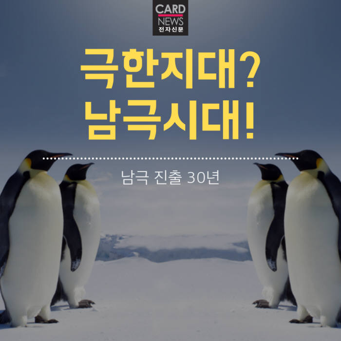 [카드뉴스]극한지대? 남극시대! 남극 진출 30년