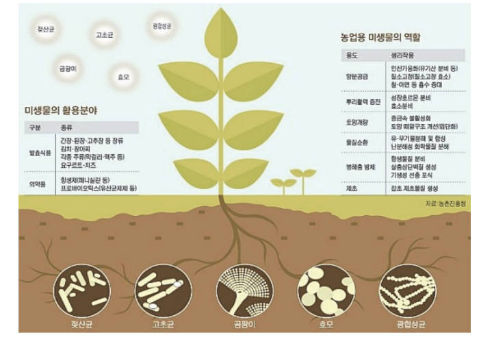 식물 마이크로바이옴 역할과 활용 분야(자료: 농촌진흥청)