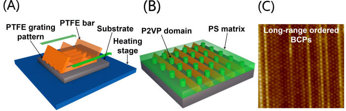 (A) 테프론 막대를 기재 표면에 문지르면 미세한 테프론 나노선이 형성. (B) 테프론 막대를 문질러 형성된 나노선(주황색 기둥) 위에 블록공중합체 막을 형성하고 P2VP 실리더형 도메인이 수직으로 배향. (C) (B)를 원자힘 현미경으로 관찰한 결과. 흰색 점들은 직경 약 30나노미터의 P2VP 도메인.