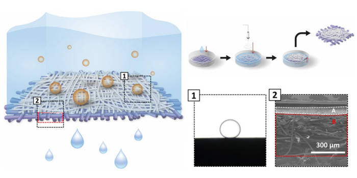 수중 초발유성 분리막, NFC 멤브레인의 물기름 분리 개념 설명도(왼쪽그림). NFC 멤브레인의 제작 과정(오른쪽 위 그림).