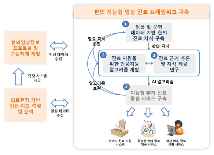 AI 한의사 개발 개요