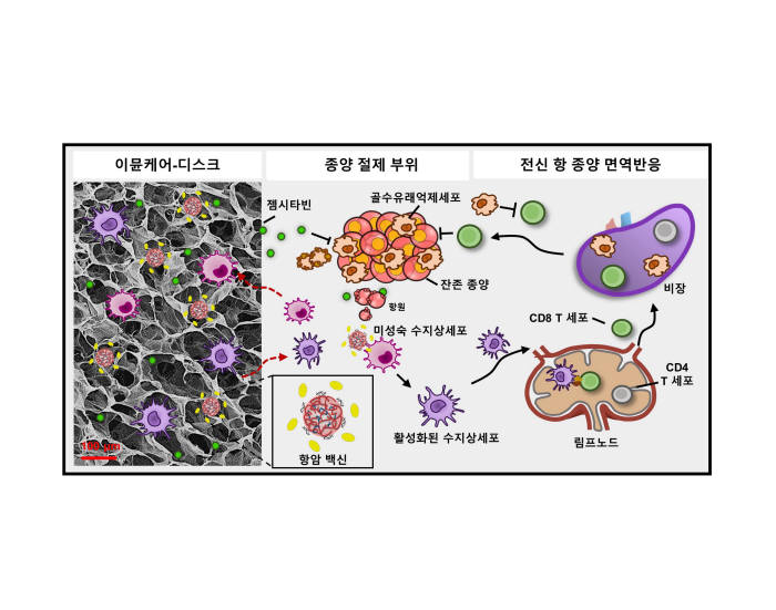 ImmuneCare-DISC(iCD)의 작용기전