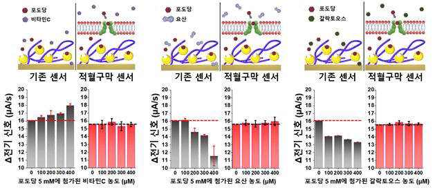 적혈구 코팅 혈당 센서의 포도당 선택성(selectivity) 실험