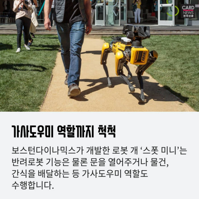 [카드뉴스]반려견 역할부터 재난현장 투입까지...'동물로봇' 전성시대