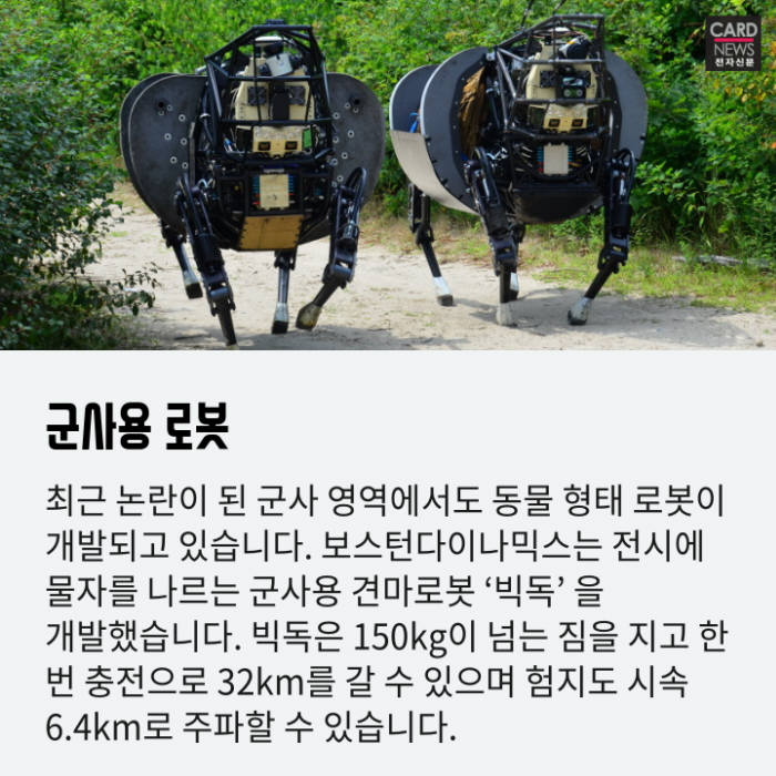[카드뉴스]반려견 역할부터 재난현장 투입까지...'동물로봇' 전성시대