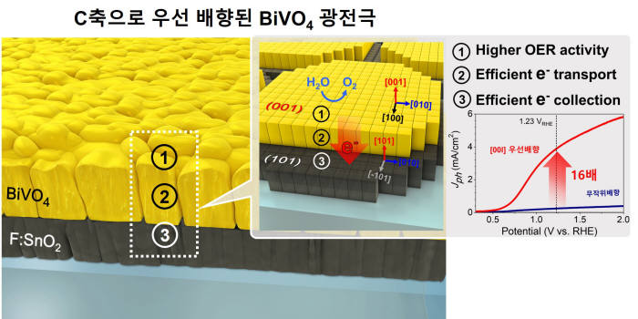 특정 방향으로 우선 배향된 비스무스 바나데이트 광전극