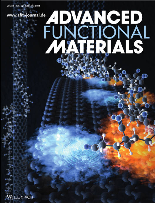 관련 논문이 실린 어드밴스드 펑셔널 머티리얼즈 표지