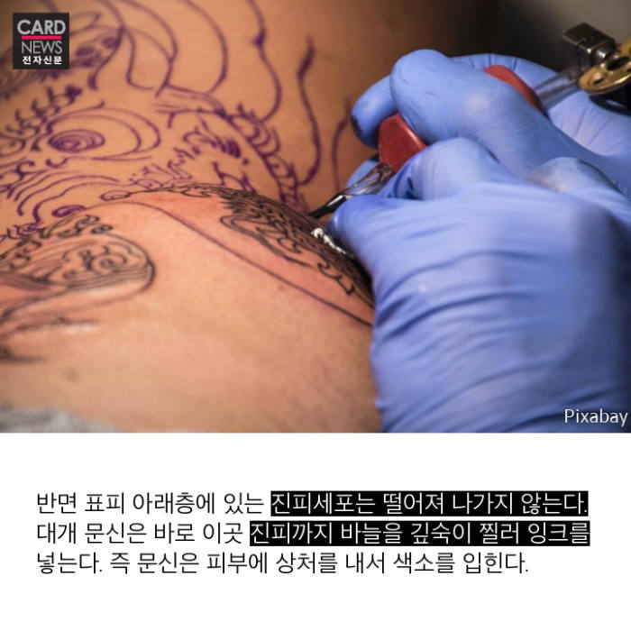 [카드뉴스]문신에 숨은 과학의 비밀