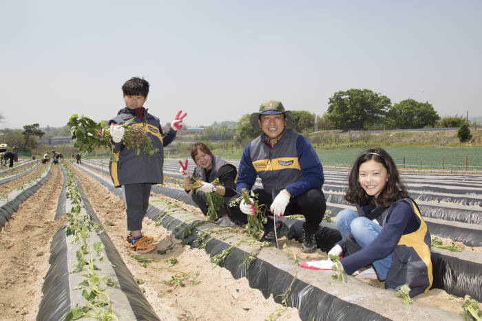 "특별한 인연 이어가요"…KB손보, 정안마을서 농촌봉사