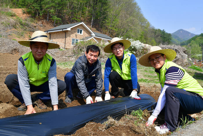 왼쪽부터 홍태영 신용감리부장, 신형국 신당마을 주민, 이대훈 은행장, 김양수 감리전략팀장이 밭고랑에 비닐을 씌우는 작업을 하고 있다.