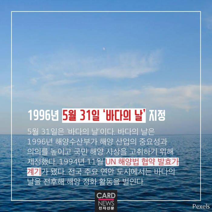 [카드뉴스]붉으락푸르락 '바다색의 비밀'