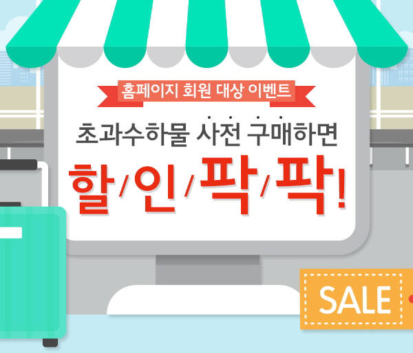 에어서울, 6~7월 위탁수하물 최대 60% 할인 제공 (제공=에어서울)