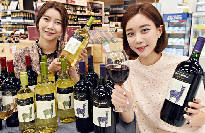 홈플러스 가성비 최고 '빈야드' 와인 대용량 출시