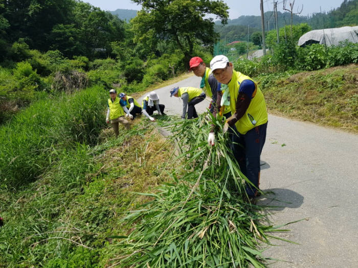 임채운 NH농협은행 감사부장(오른쪽)과 직원들이 강원도 원주시 신림면 구학리마을을 찾아 농촌봉사활동을 실시했다.