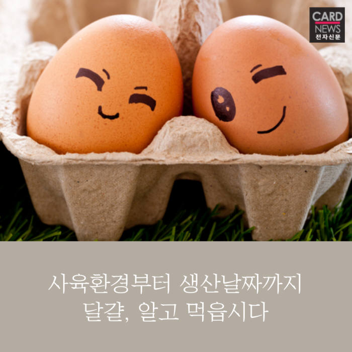 [카드뉴스]달걀, 알고 먹읍시다