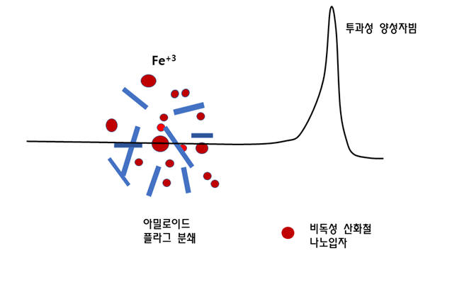 쿨롱나노킬레이터 치료 개요도