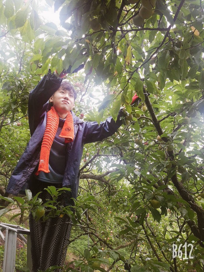 한성대학교 하계 농촌 봉사 활동 현장