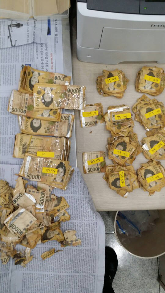 상반기 폐기 손상화폐 2조214억원... "화폐사용 습관 개선 필요"