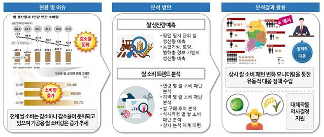 [쌀 생산량 및 소비 트랜드 분석 모델]