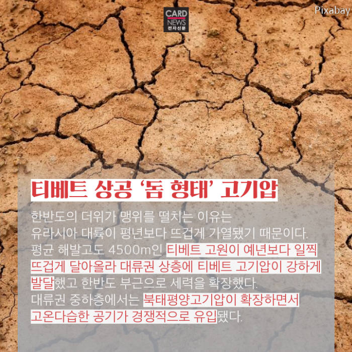 [카드뉴스]열돔에 갇힌 세계…불덩이 지구