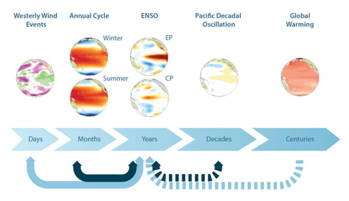 엘니뇨-남방 진동 현상과 해양 주요 기후 현상과의 상호작용 이미지.