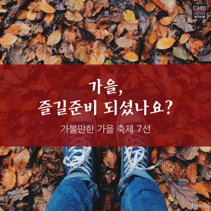[카드뉴스]가을, 즐길 준비 되셨나요? 가볼만한 가을 축제 7선