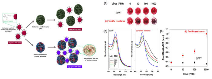 타미플루 내성 바이러스 검출용 금 나노 입자 용액 개념과 이를 이용한 타미플루 내성 바이러스의 비색 분석 결과