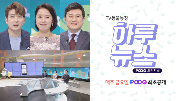 POOQ, 반려동물 프로그램 '하루뉴스' 최초 공개