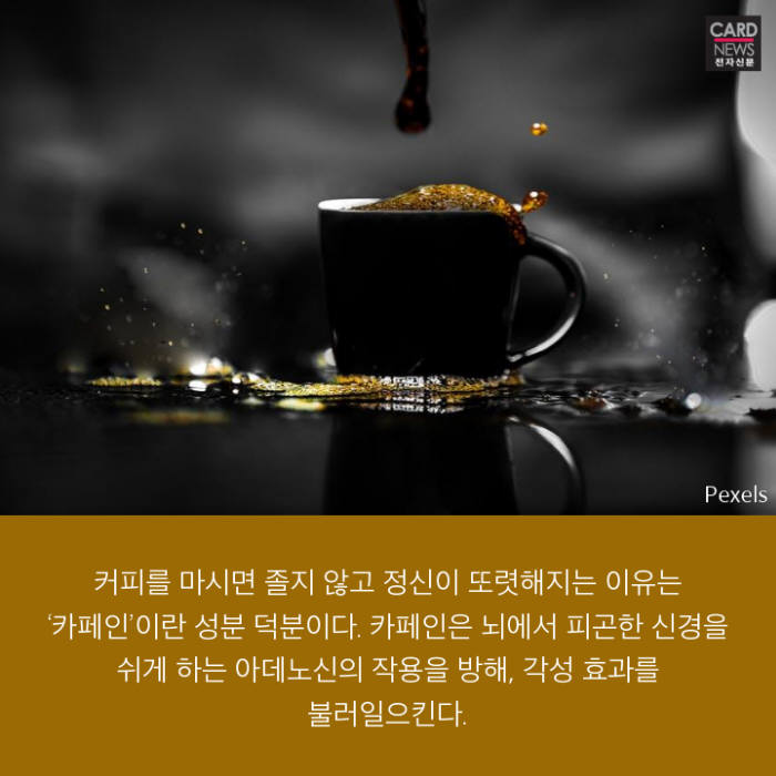 [카드뉴스]삶의 일부가 된 커피