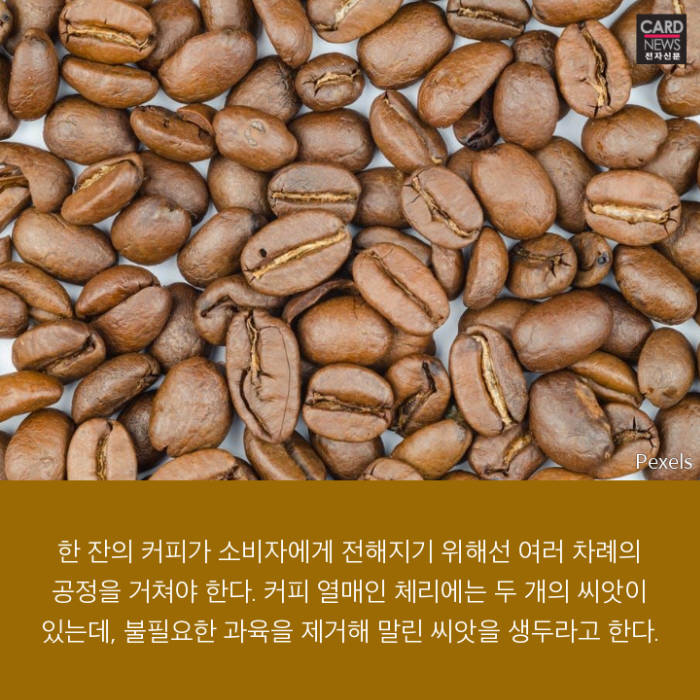 [카드뉴스]삶의 일부가 된 커피