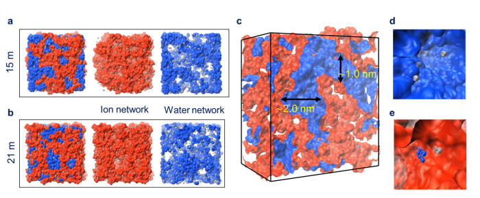연구팀이 관측한 물기반 전해질 구조. 물과 염이 서로 분리돼 있다.
