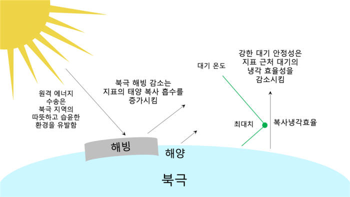 지역 메커니즘에 의한 북극 증폭