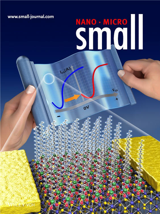 와일리 인터사이언스(Wiley-Interscience)의 스몰(Small)지 2월 15일자 인사이드 커버 논문. (자료=진성훈 인천대 교수 연구팀)