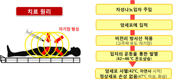 자성 나노입자와 고주파 유도 자기장을 이용한 암 치료 원리.