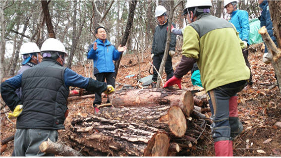 퇴직공무원을 활용한 산림병해충 방제컨설팅 사업에 참여한 자문위원이 소나무재선충병 훈증처리 방법을 전수하고 있다. 산림청 제공