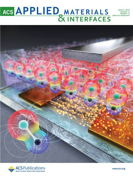 노용영 포스텍 교수의 연구논문이 실린 화학 분야 최고 권위지인 ACS 응용 재료 및 계면(ACS Applied Materials & Interfaces) 표지논문.